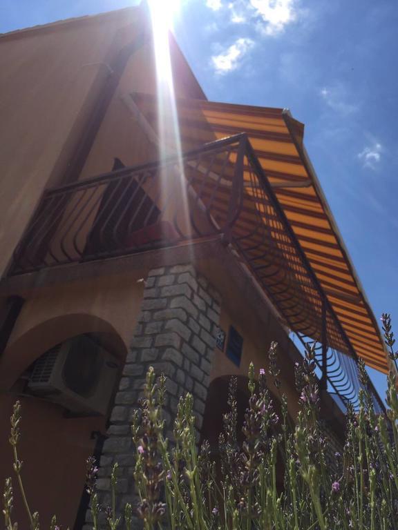 Apartments Renata Primošten Zewnętrze zdjęcie